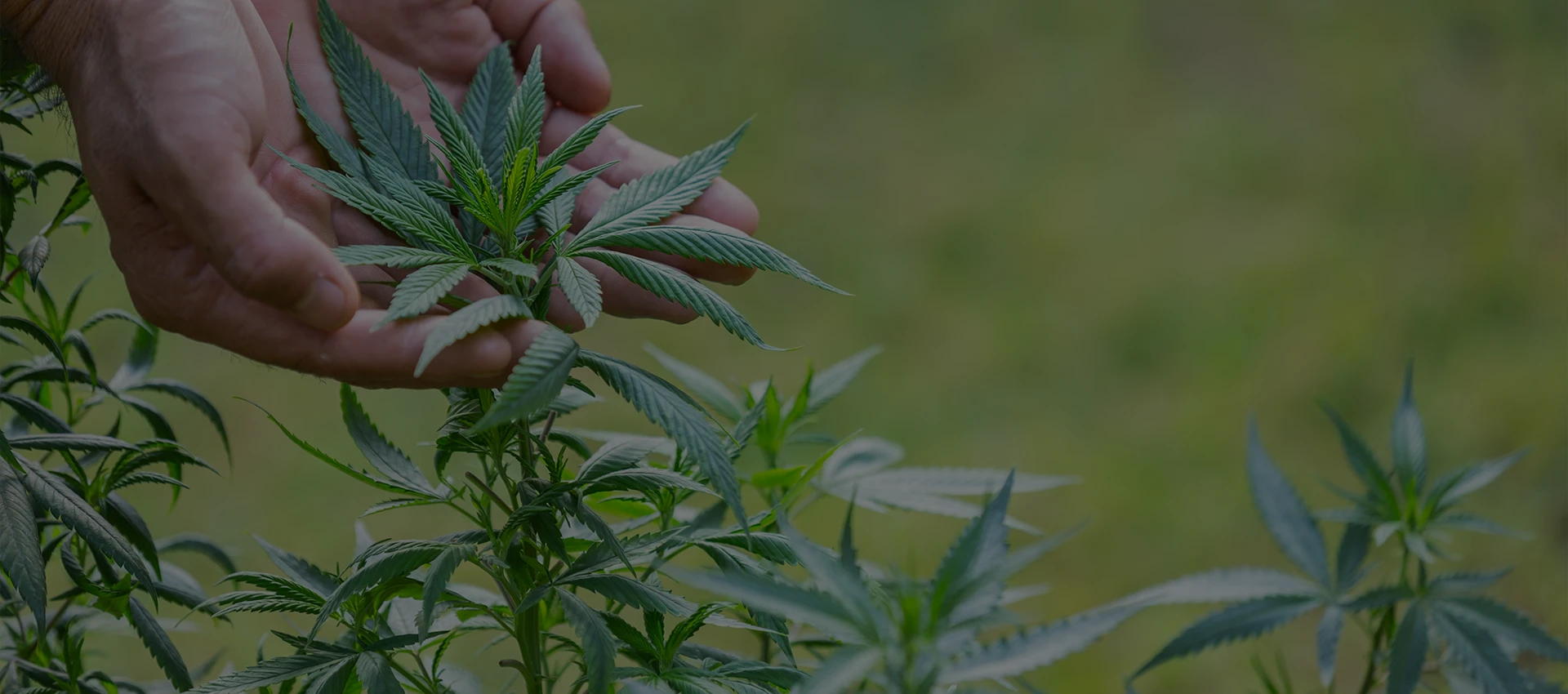 Geleceğin Tarımı, Bugünden Başlıyor - Çatalhöyük Tarım