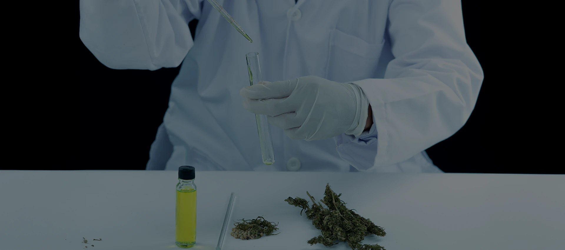 Endüstriyel Kenevirde Yeni Bir Vizyon - Çatalhöyük Tarım